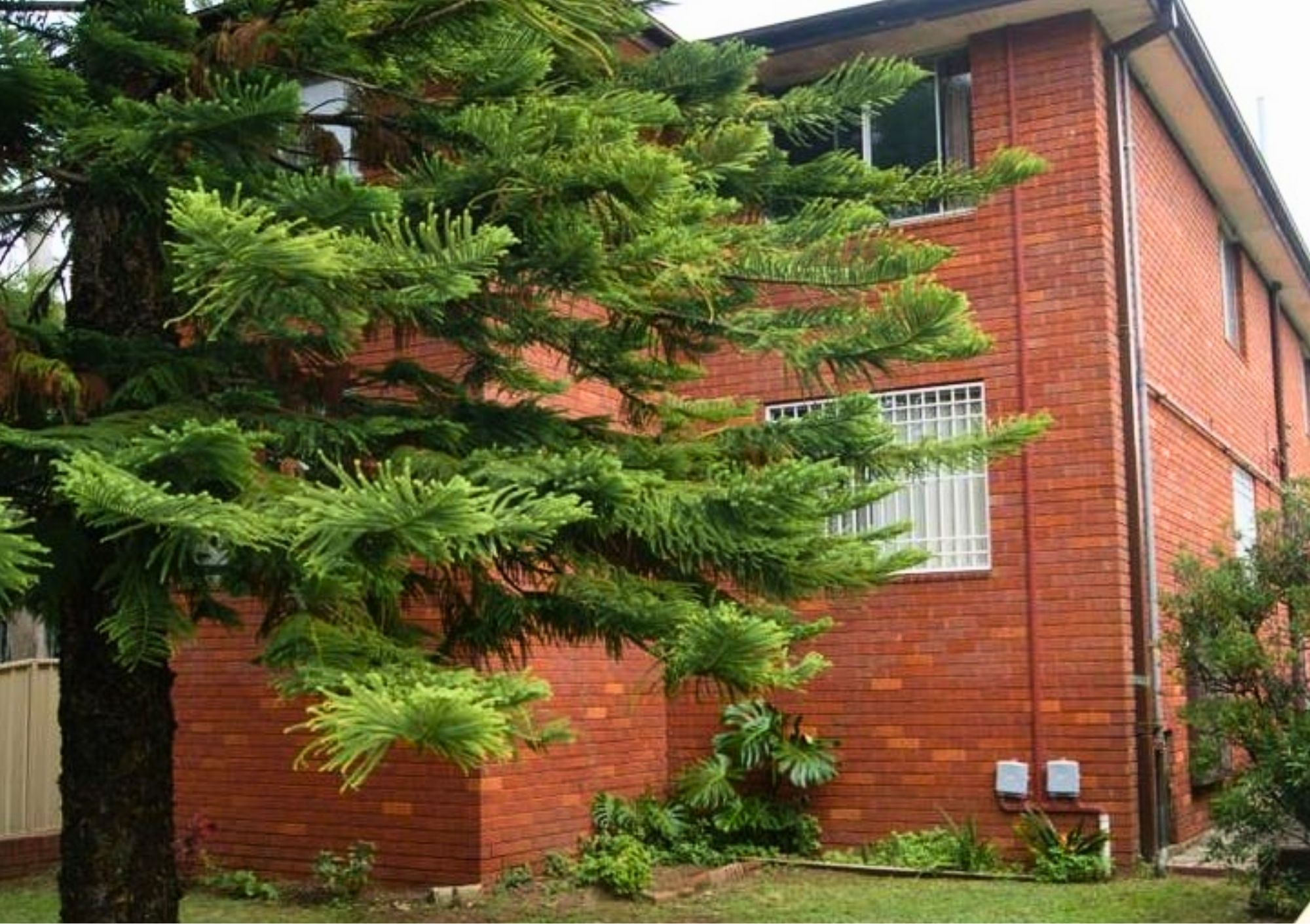 _65 HEVINGTON ROAD, AUBURN NSW 2144